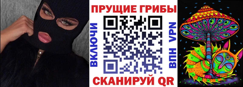 Псилоцибиновые грибы GOLDEN TEACHER  Купить где  Городище 